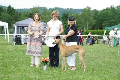 Asarab al Asawad Azrou - Best in Show Wakoor